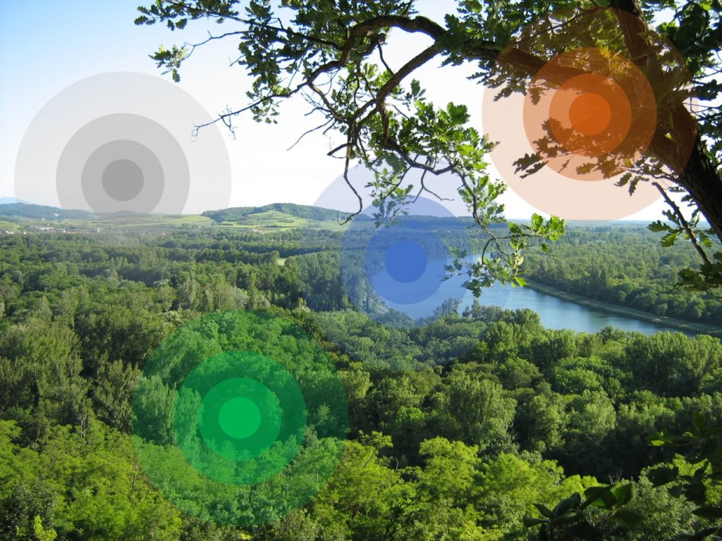Wie klingt die Natur? „Soundscapes“ und die akustische Diversität von Ökosystemen